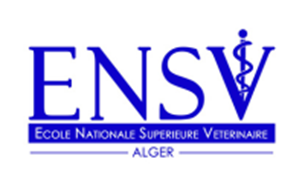 logo ensv