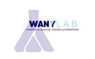 LOGO WANYLAB