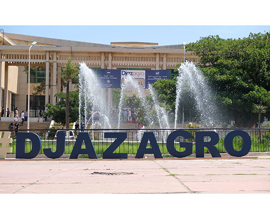 Logo de Djazagro devant une fontaine